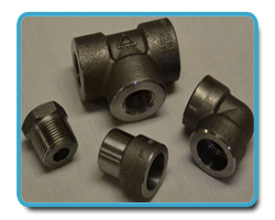 Carbon & Alloy Steel Forged fitting